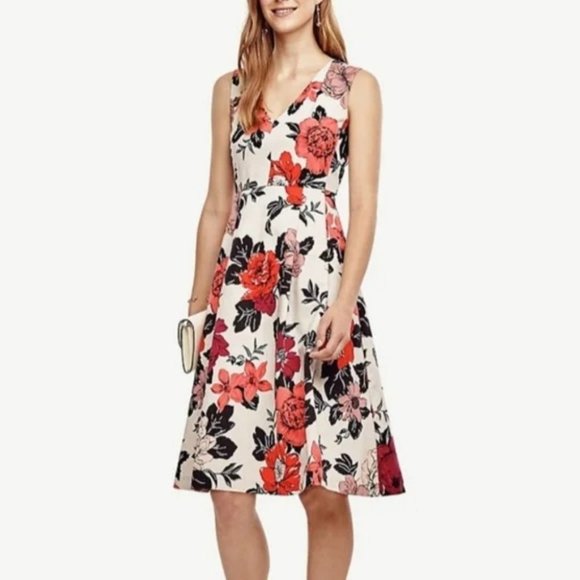 Ann Taylor Dresses Ann Taylor Beige Floral Aline Pleated Dress